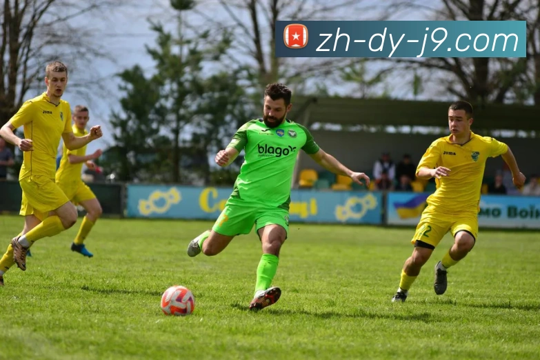 J9国际站官网平台生态图